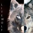 Litewolf