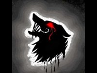 The Darkwolf Company